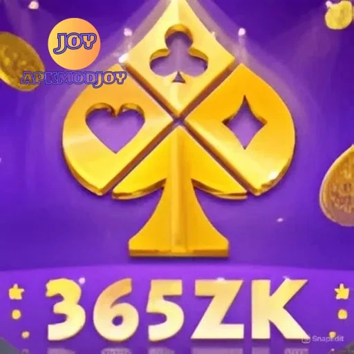 Ikon 365zk